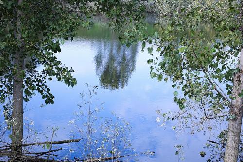 a view of a body of water between two trees at Museo Grillo Camere d'Arte, dormire nel Museo in Arena Po