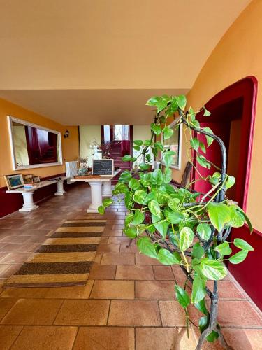 a plant in the middle of a living room at B&BLe Tre Gemme in Montechiarugolo