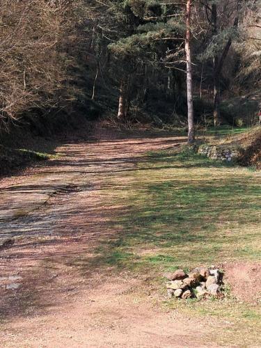 a dirt road with trees on the side of a field at Chalet de la source in Prades