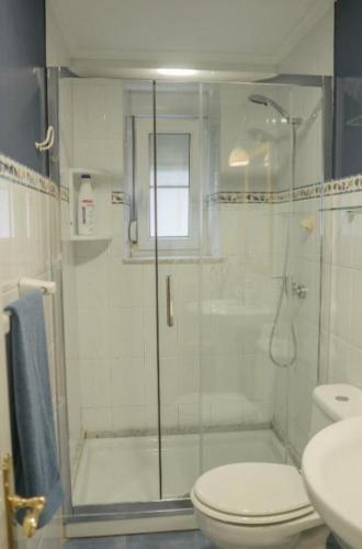 a bathroom with a shower and a toilet and a sink at Bellamar Playa Santa Maria in Naveces