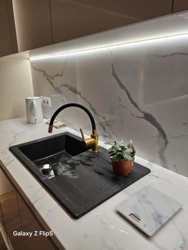 a kitchen sink with a faucet and a plant on a counter at Bingo city centar in Sarajevo