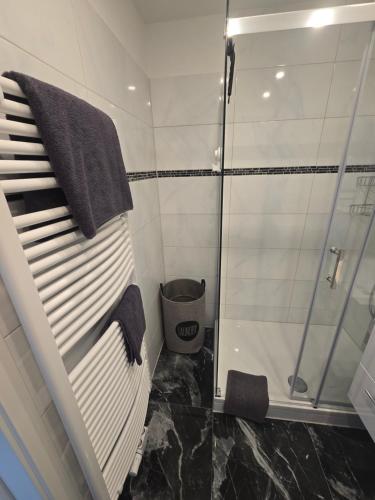 a bathroom with a walk in shower and towels at 1 Zimmer Wohnung Laatzen nähe Messe in Hannover