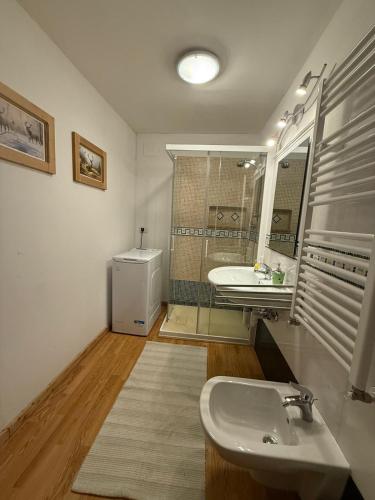 a bathroom with a sink and a toilet and a mirror at La Ciasa Dell'Emigrante in Cibiana