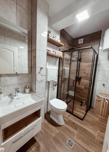 a bathroom with a toilet sink and a shower at PARK Apartment in Bijeljina