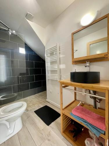 a bathroom with a sink and a toilet and a mirror at Esprit loft in Talence