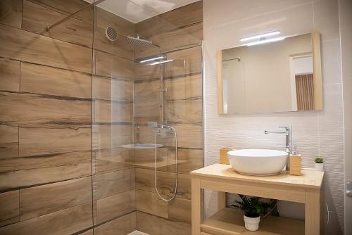 une salle de bain avec un lavabo et une douche en verre dans l'établissement Appartement tout confort au Cœur d'Antibes, à Antibes