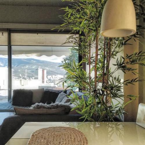 Boutique Loft Penthouse