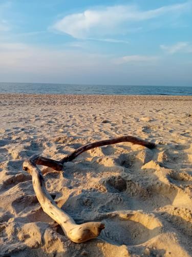 Apartament na Mierzei