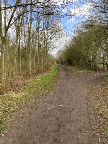 a dirt road with trees on either side at Cosy home in Middleton St George, Darlington in Dinsdale Station