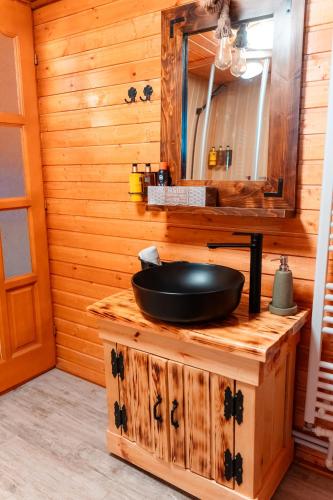 a bathroom with a black sink and a mirror at Catunul Lacului Fermecat in Pleşi