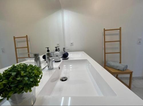 - un évier blanc dans une cuisine avec une plante en pot dans l'établissement Disneyland Paris - Serris - 6 people, à Serris