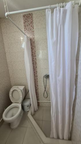 a bathroom with a toilet and a shower curtain at Koko Apartments in Kavadarci