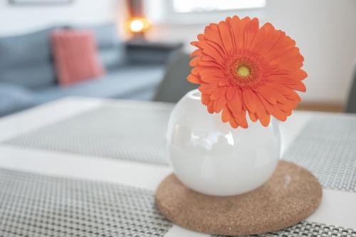 Posezení v ubytování Amaria Downtown Aparthotel Villach