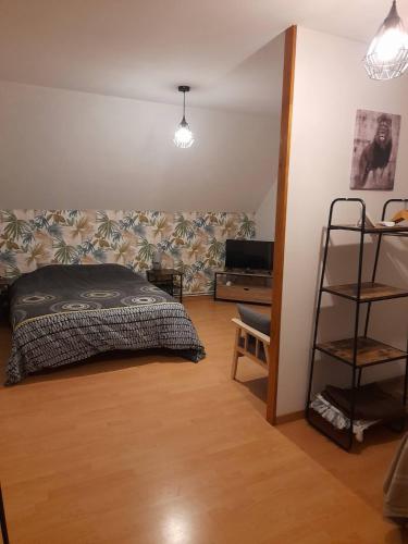 - une chambre avec un lit et une étagère dans l'établissement Chambre Chez Lionel, à Mur-de-Sologne