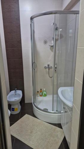 a bathroom with a shower and a toilet and a sink at AIRPORT 24&24 CAR PARKING in Chişinău