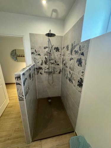 La salle de bains est pourvue d'une douche avec du carrelage noir et blanc. dans l'établissement gite penelope, à Mont-Dol