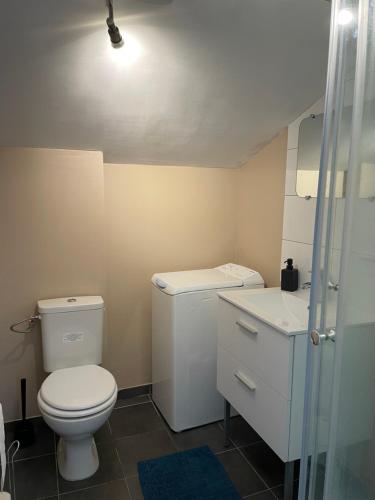 une petite salle de bain avec toilettes et lavabo dans l'établissement agréableT2, à Soustons