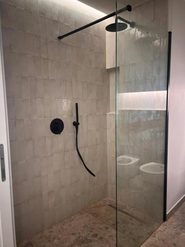 a shower with a glass door with two toilets at Apartment Nicole in Menaggio