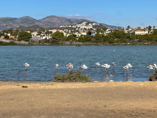 Naturlandskabet i nærheden af lejligheden