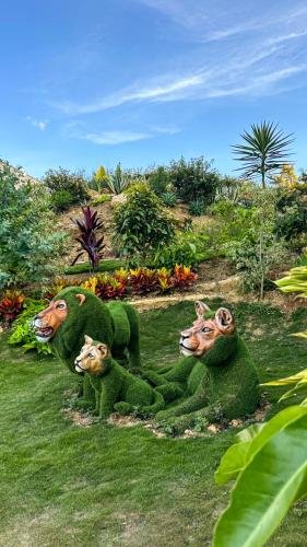 two statues of animals sitting in the grass at Hotel PAUCHÉ Topiario Zapatoca in Zapatoca