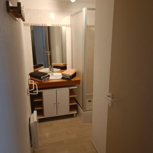 une salle de bain avec un lavabo et un miroir dans l'établissement Joli T2 avec alcôve Wifi 4 pers linge de maison inclus, à Cauterets