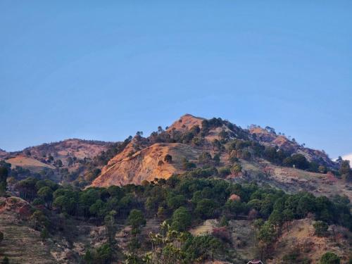 a mountain with trees on top of it at Raina's BnB in Solan
