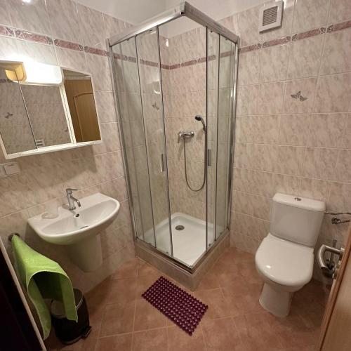 a bathroom with a shower and a toilet and a sink at Pension Mijami in Dolní Bukovsko