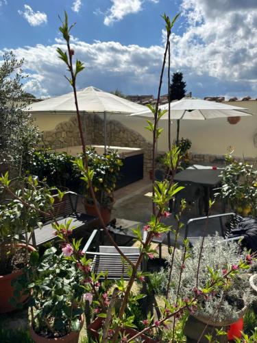 einen Garten mit Topfpflanzen, Tischen und Sonnenschirmen in der Unterkunft Casa Zito CIN it04041c287ii6uk in Scandicci