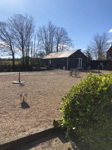a dog is standing in a yard with a house at Old Farm Shop in Herstmonceux