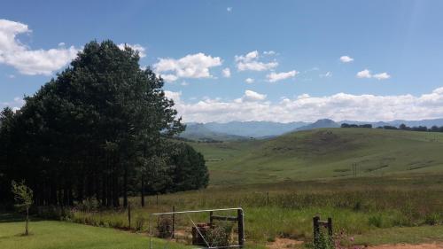 a soccer goal in a field with a tree at J&B Lodge in Underberg
