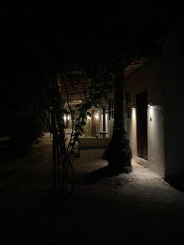 Φωτογραφία από το άλμπουμ του Liquid Life Boutique Hotel Zanzibar σε Paje
