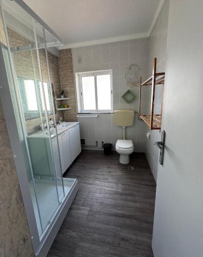 a bathroom with a toilet and a glass shower at vue mer in Pataias
