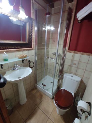 a bathroom with a shower and a toilet and a sink at El Hogar del Ciclista in Espinosa de los Monteros