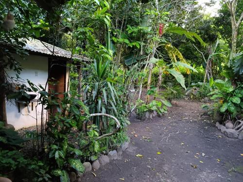 حديقة خارج Bella Victoria Ecolodge