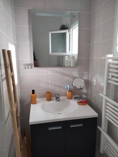 une salle de bain avec un lavabo et un miroir dans l'établissement Appartement cosy terrasse parking privé 2 vélos, à La Rochelle