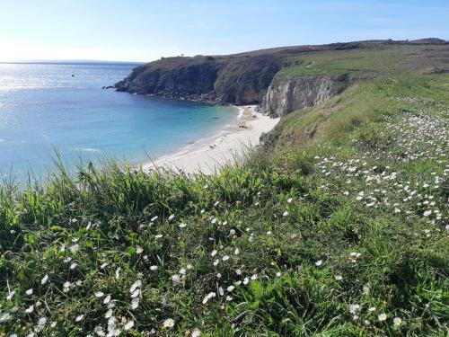 a view of a beach with white flowers on a hill at "Ty Nonod" Quiet Breton farmhouse 500m from the sea in Lampaul-Plouarzel in Lampaul-Plouarzel