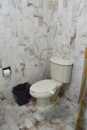 a bathroom with a white toilet in a room at Hotel Topacio in San Juan de los Lagos