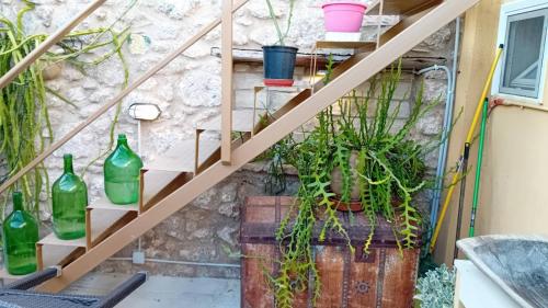 a set of stairs with plants and bottles at Areti's Captain's House with Private Terrace in Galaxidhion