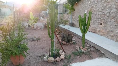 a garden with cacti and plants in a yard at Areti's Captain's House with Private Terrace in Galaxidhion