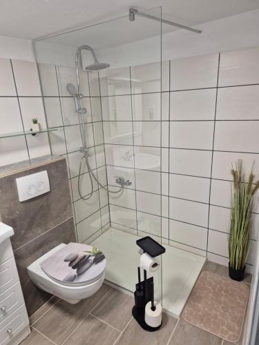Bilik mandi di Ferienwohnung Puchfrie