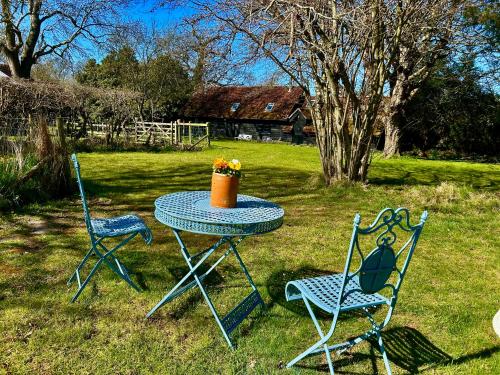 a table with two chairs and a pot of flowers on it at Bessie May Cottage in Beaulieu