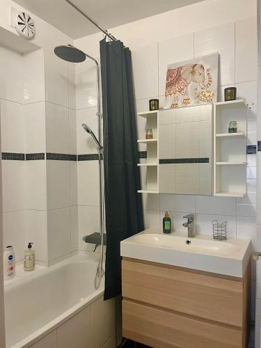 une salle de bain avec un lavabo, une baignoire et une douche dans l'établissement Charmant appartement 3 pièces, à Paris
