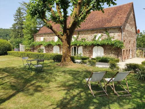 two chairs and a tree in front of a building at Superbe gîte avec vue sur les vignes, dans le parc d'un manoir du 18ème siècle in Saint-Bazile-de-Meyssac