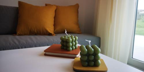 two green plants on a table in front of a couch at Iris&Phaedra in Ayiá