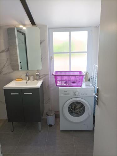 - une buanderie avec un lave-linge et un évier dans l'établissement Gîte Pop - La Note bleue, à Sainte-Radégonde-des-Noyers