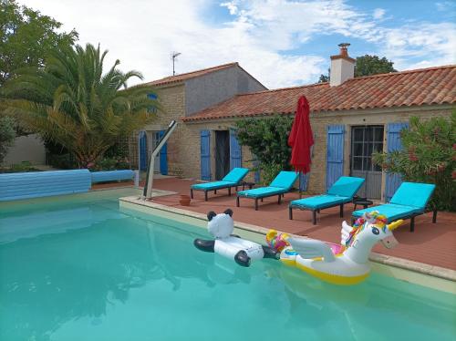 - une piscine avec un jouet dans l'eau dans l'établissement Gîte Pop - La Note bleue, à Sainte-Radégonde-des-Noyers