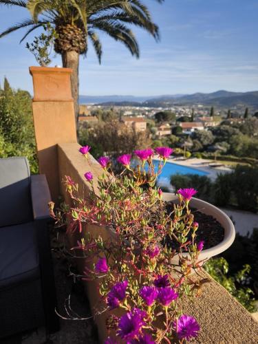 Une bande de fleurs violettes dans un pot dans l'établissement Love-room Discret 40 m2 Bormes les mimosas village avec Terrasse, à Bormes-les-Mimosas