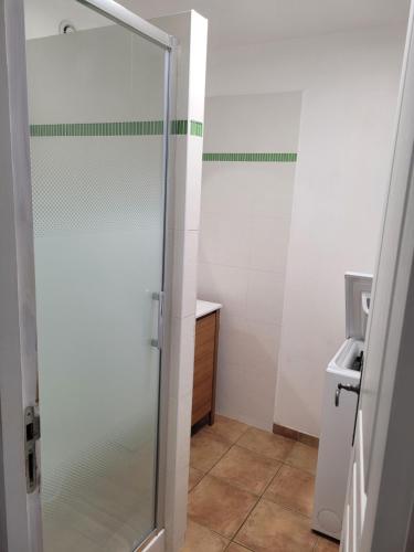 une salle de bain avec une douche en verre avec un lavabo dans l'établissement Giens-T2 charme-7m à pied plage - Rez de jardin, à Hyères