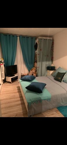 Cette chambre comprend un lit avec des rideaux bleus et une télévision. dans l'établissement Le Havre Saintprio, à Saint-Priest