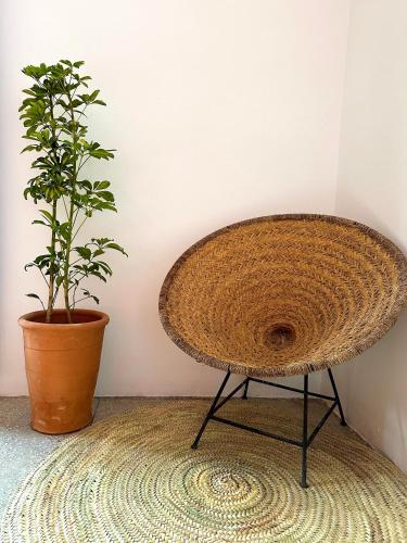 a large wicker table next to a potted plant at Dar Al-Andalus in Tamraght Ouzdar